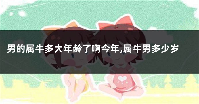 男的属牛多大年龄了啊今年,属牛男多少岁