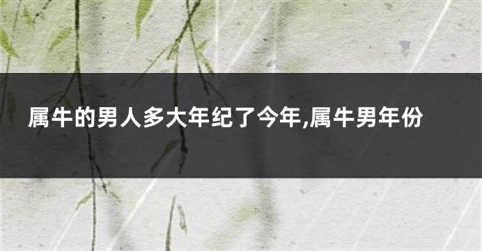 属牛的男人多大年纪了今年,属牛男年份