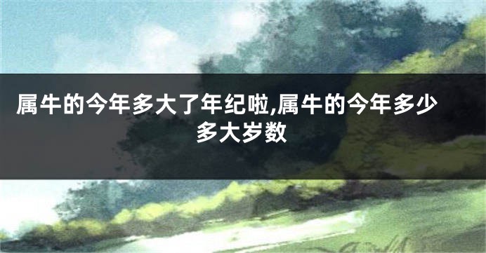 属牛的今年多大了年纪啦,属牛的今年多少多大岁数