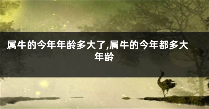 属牛的今年年龄多大了,属牛的今年都多大年龄