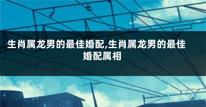 生肖属龙男的最佳婚配,生肖属龙男的最佳婚配属相