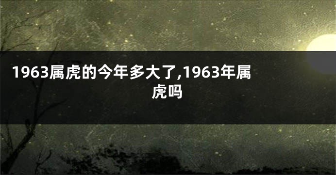 1963属虎的今年多大了,1963年属虎吗