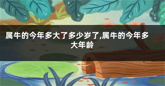 属牛的今年多大了多少岁了,属牛的今年多大年龄