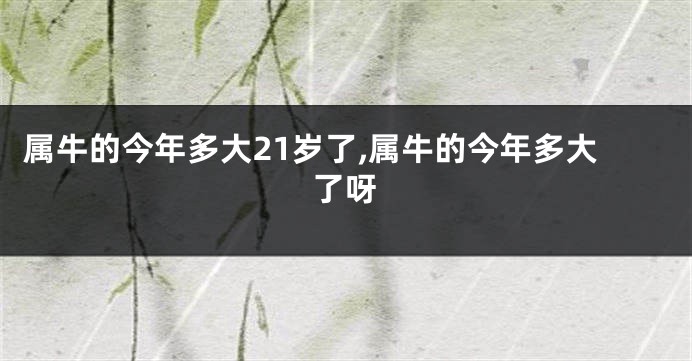 属牛的今年多大21岁了,属牛的今年多大了呀