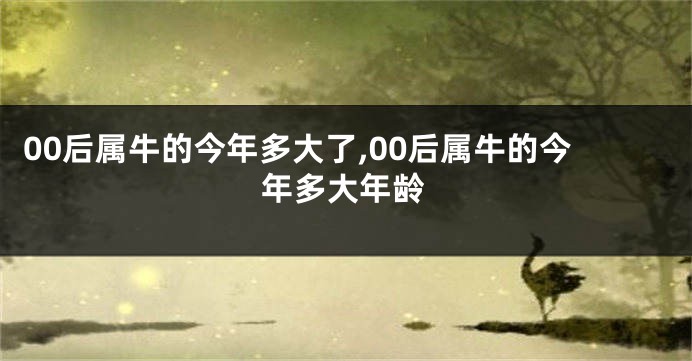 00后属牛的今年多大了,00后属牛的今年多大年龄