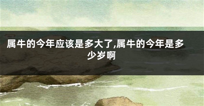 属牛的今年应该是多大了,属牛的今年是多少岁啊