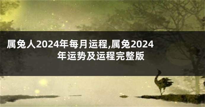 属兔人2024年每月运程,属兔2024年运势及运程完整版