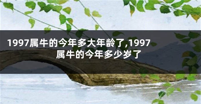 1997属牛的今年多大年龄了,1997属牛的今年多少岁了