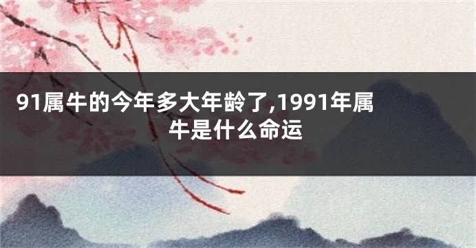 91属牛的今年多大年龄了,1991年属牛是什么命运