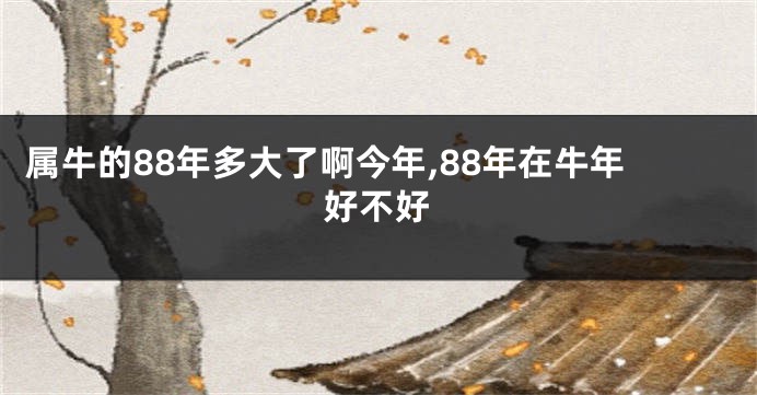属牛的88年多大了啊今年,88年在牛年好不好