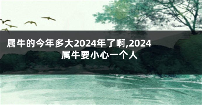 属牛的今年多大2024年了啊,2024属牛要小心一个人