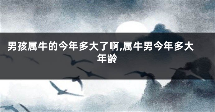 男孩属牛的今年多大了啊,属牛男今年多大年龄
