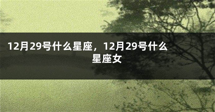12月29号什么星座，12月29号什么星座女