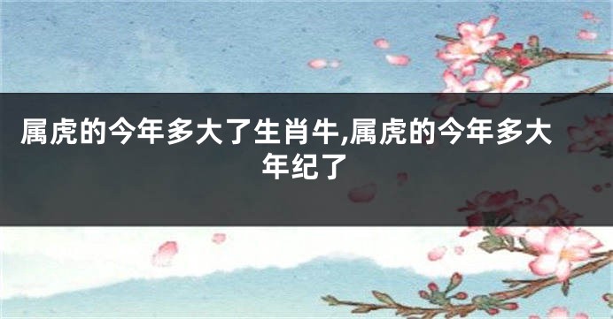 属虎的今年多大了生肖牛,属虎的今年多大年纪了