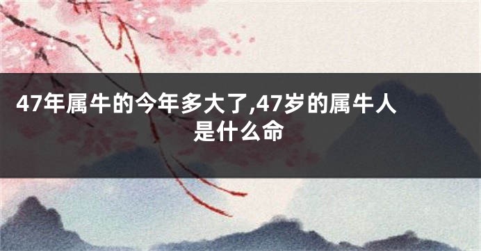 47年属牛的今年多大了,47岁的属牛人是什么命