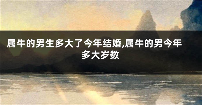 属牛的男生多大了今年结婚,属牛的男今年多大岁数