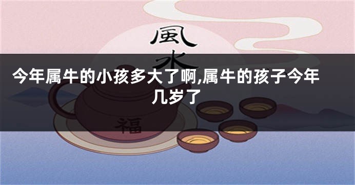 今年属牛的小孩多大了啊,属牛的孩子今年几岁了