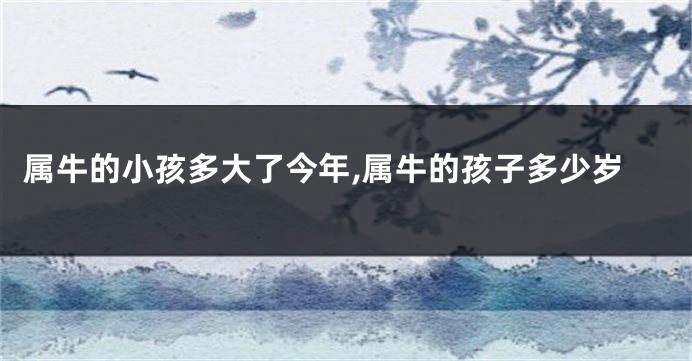 属牛的小孩多大了今年,属牛的孩子多少岁