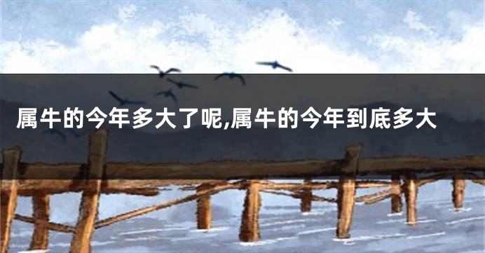属牛的今年多大了呢,属牛的今年到底多大