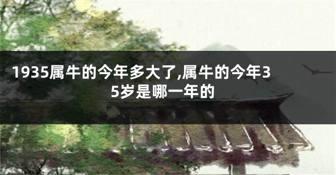 1935属牛的今年多大了,属牛的今年35岁是哪一年的
