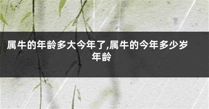 属牛的年龄多大今年了,属牛的今年多少岁 年龄
