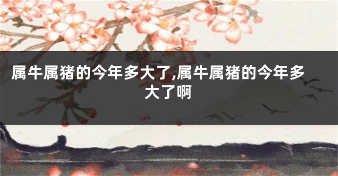 属牛属猪的今年多大了,属牛属猪的今年多大了啊