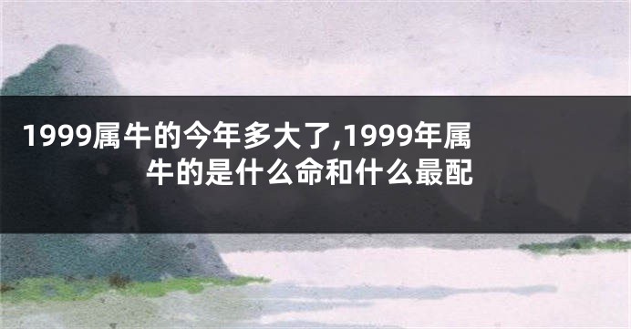 1999属牛的今年多大了,1999年属牛的是什么命和什么最配
