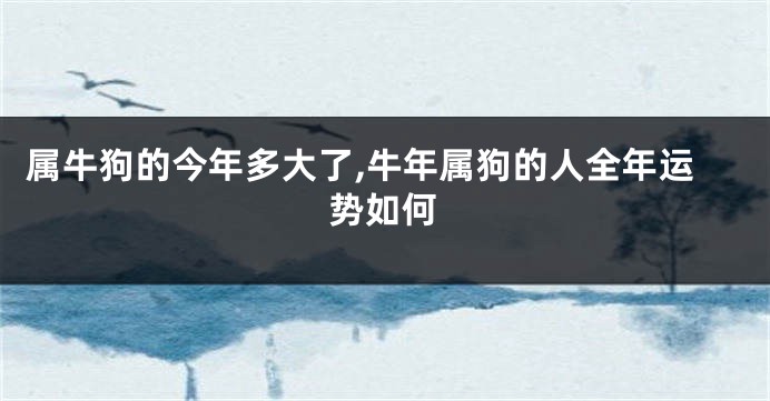 属牛狗的今年多大了,牛年属狗的人全年运势如何