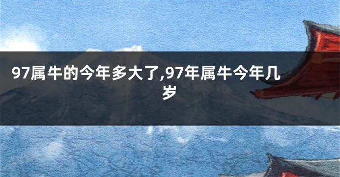 97属牛的今年多大了,97年属牛今年几岁