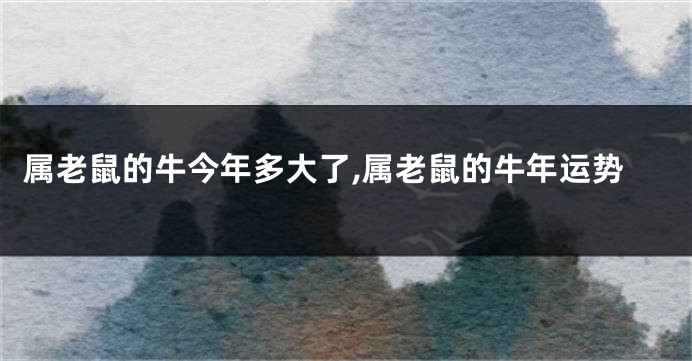 属老鼠的牛今年多大了,属老鼠的牛年运势