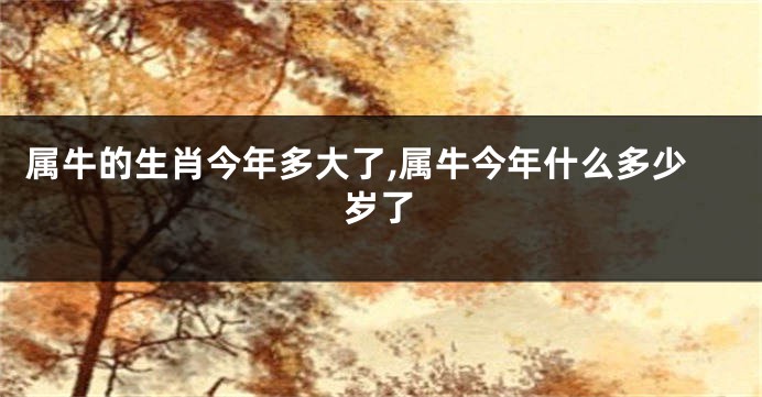 属牛的生肖今年多大了,属牛今年什么多少岁了