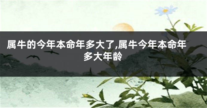 属牛的今年本命年多大了,属牛今年本命年多大年龄