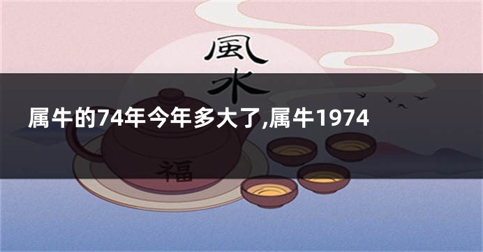 属牛的74年今年多大了,属牛1974