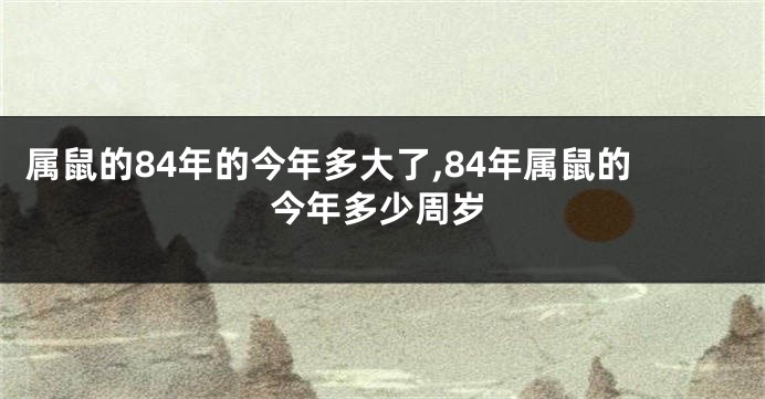 属鼠的84年的今年多大了,84年属鼠的今年多少周岁