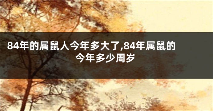 84年的属鼠人今年多大了,84年属鼠的今年多少周岁