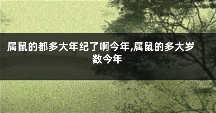 属鼠的都多大年纪了啊今年,属鼠的多大岁数今年