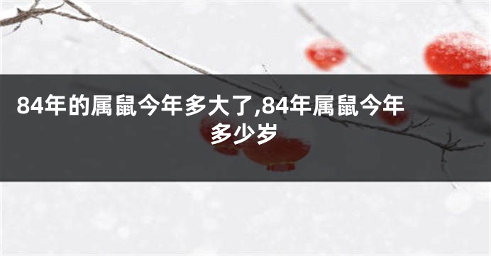 84年的属鼠今年多大了,84年属鼠今年多少岁