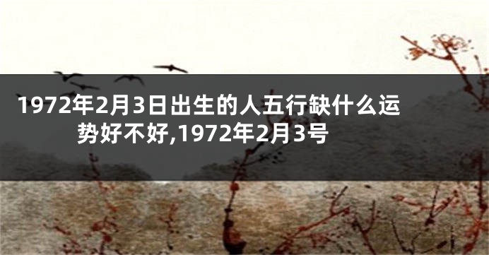 1972年2月3日出生的人五行缺什么运势好不好,1972年2月3号