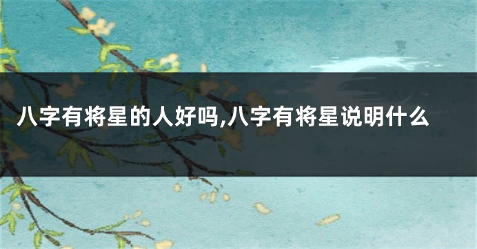 八字有将星的人好吗,八字有将星说明什么