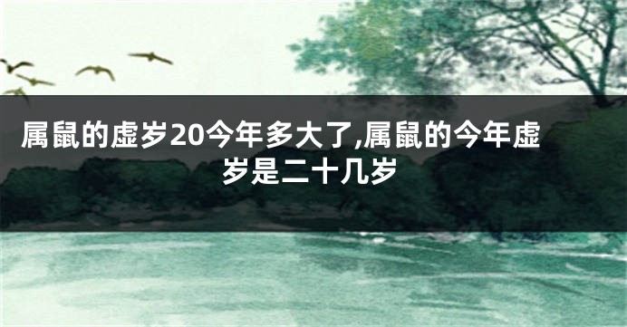 属鼠的虚岁20今年多大了,属鼠的今年虚岁是二十几岁