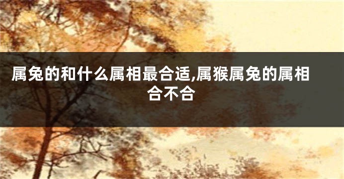 属兔的和什么属相最合适,属猴属兔的属相合不合