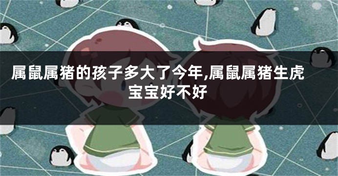 属鼠属猪的孩子多大了今年,属鼠属猪生虎宝宝好不好