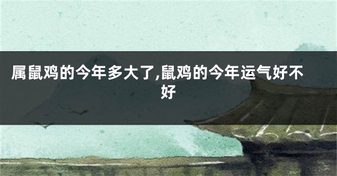 属鼠鸡的今年多大了,鼠鸡的今年运气好不好