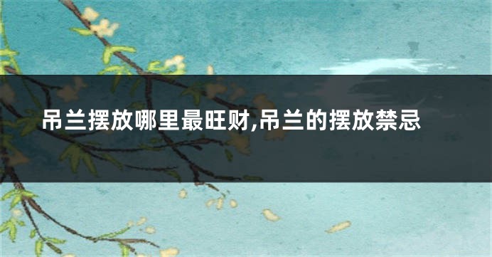 吊兰摆放哪里最旺财,吊兰的摆放禁忌