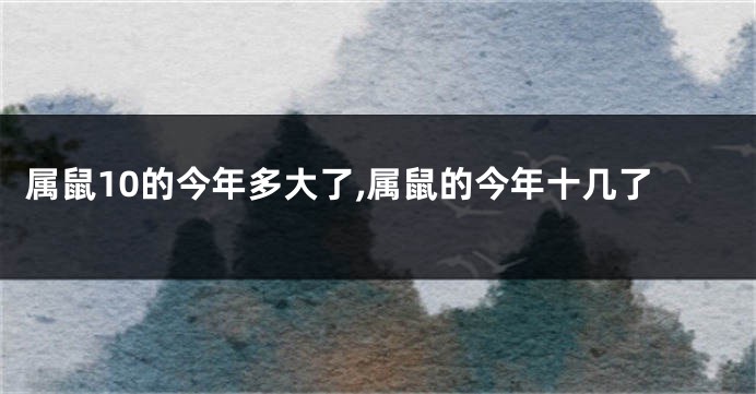 属鼠10的今年多大了,属鼠的今年十几了
