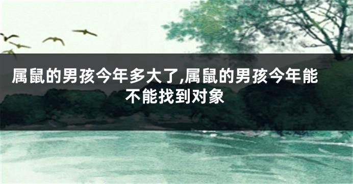 属鼠的男孩今年多大了,属鼠的男孩今年能不能找到对象