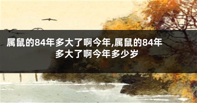 属鼠的84年多大了啊今年,属鼠的84年多大了啊今年多少岁