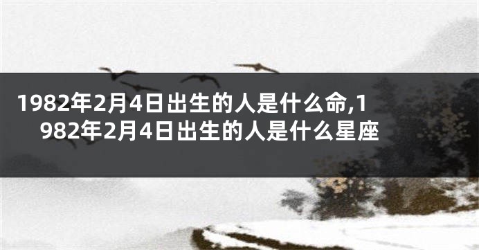 1982年2月4日出生的人是什么命,1982年2月4日出生的人是什么星座