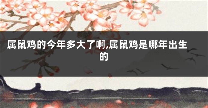 属鼠鸡的今年多大了啊,属鼠鸡是哪年出生的