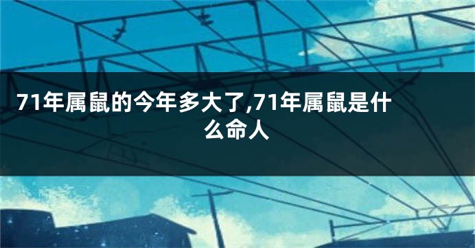 71年属鼠的今年多大了,71年属鼠是什么命人